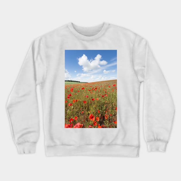 Norfolk Poppy Field Crewneck Sweatshirt by GrahamPrentice